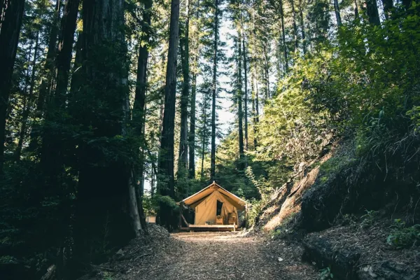 8 Tempat Glamping di Sukabumi dengan Pemandangan Menakjubkan dan Fasilitas Lengkap