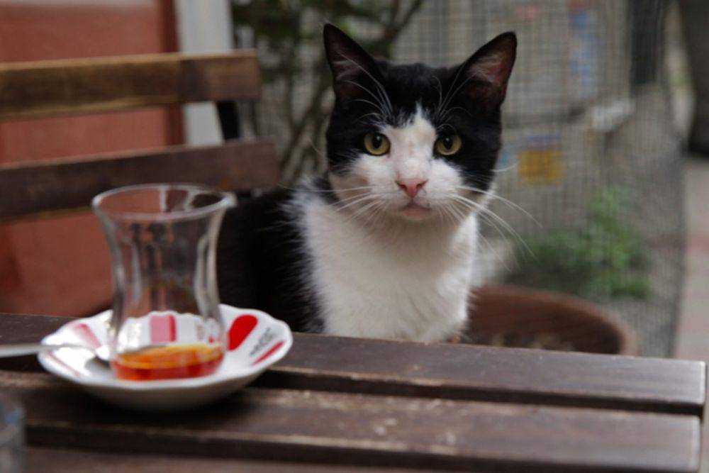 9 Rekomendasi Film 80 Menitan yang Wajib Ditonton, Singkat tapi Penuh Makna