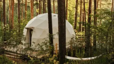 9 Spot Glamping Terbaik di Pangalengan untuk Liburan Seru dan Nyaman