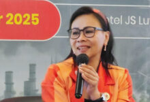 APNI Minta Regulasi Disesuaikan dengan Dinamika dan Kebutuhan Pasar Industri Nikel Indonesia