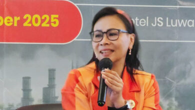 APNI Minta Regulasi Disesuaikan dengan Dinamika dan Kebutuhan Pasar Industri Nikel Indonesia
