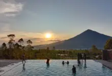 Agrowisata Tepas Papandayan: Destinasi Edukasi Pertanian dengan Panorama Alam Menawan