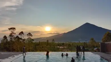 Agrowisata Tepas Papandayan: Destinasi Edukasi Pertanian dengan Panorama Alam Menawan