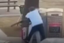 Albanese Tepis Tuduhan Netanyahu Soal Penembakan Bondi dan Isu Palestina