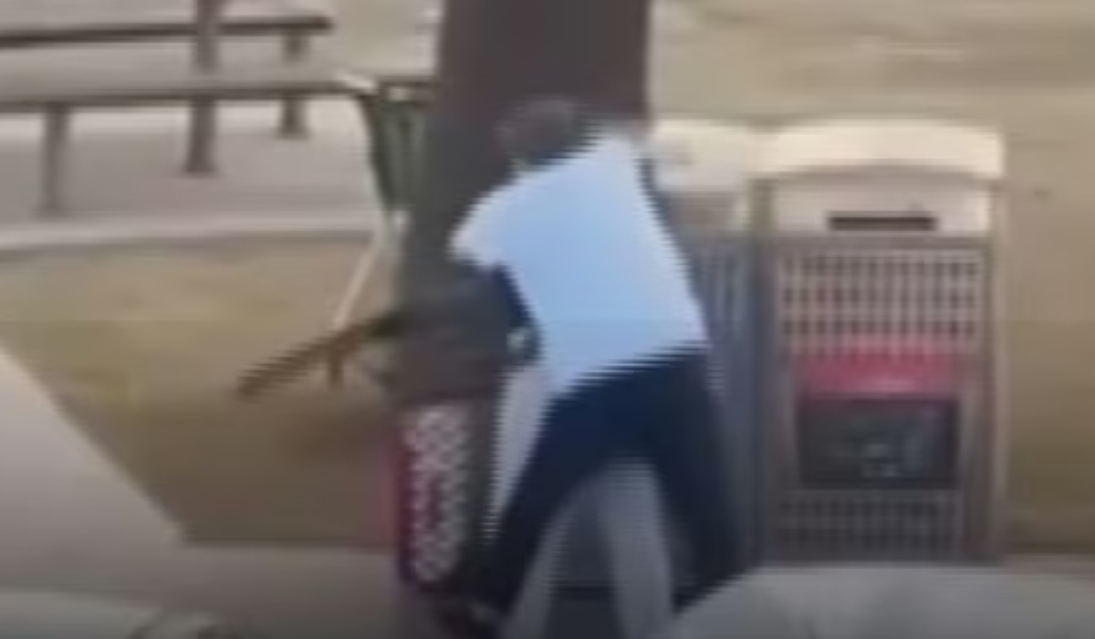 Albanese Tepis Tuduhan Netanyahu Soal Penembakan Bondi dan Isu Palestina