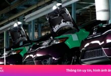 Analisis Harga Mobil Honda: Benarkah Akan Ada Kenaikan dalam Waktu Dekat?