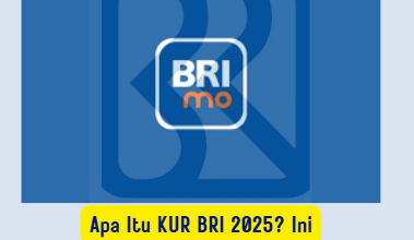 Apa Itu KUR BRI 2025? Penjelasan Lengkap, Syarat, dan Cara Mengajukannya