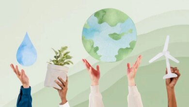 Bagaimana Pilihan Hidup Mempengaruhi Interaksi Sosial dan Tren Ramah Lingkungan yang Semakin Populer