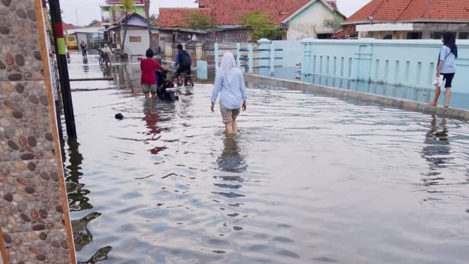 Banjir Rob Rendam Ribuan Rumah di Tiga Desa Losari, Brebes Jawa Tengah
