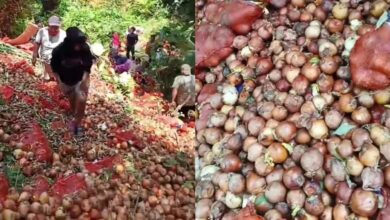Bawang Bombay Dijual Rp5.000 per Buah, 7 Potret Serbuan Warga Batam Rebutan Stok Melimpah