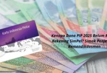 Begini Alasan Dana PIP 2025 Tak Kunjung Cair ke Rekening SimPel Siswa, Cek Info Terbaru!