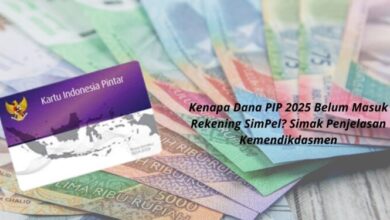 Begini Alasan Dana PIP 2025 Tak Kunjung Cair ke Rekening SimPel Siswa, Cek Info Terbaru!