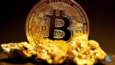 Bitcoin dan Altcoin Anjlok Drastis, Investor Serentak Tinggalkan Pasar Kripto