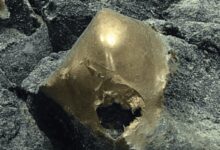 Bola Emas Misterius Ditemukan di Dasar Laut Alaska, Ilmuwan Masih Bingung Meneliti