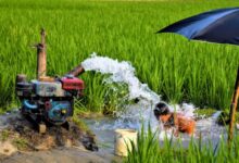 Bumi Kehilangan 324 Miliar Meter Kubik Air Tawar Setiap Tahun, Apa Dampaknya?