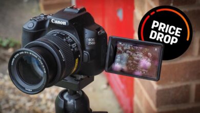 Canon EOS 250D Turun Harga Terbesar, Apakah Masih Layak Dibeli di 2025?