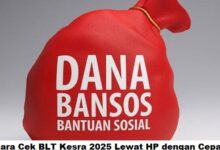 Cara Cek BLT Kesra 2025 Lewat HP Cepat & Mudah: Panduan Lengkap Cek Status Bantuan