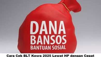 Cara Cek BLT Kesra 2025 Lewat HP Cepat & Mudah: Panduan Lengkap Cek Status Bantuan