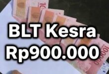 Cara Cek BLT Kesra 2025 Rp900 Ribu Melalui HP, Informasi Terbaru Penyaluran Bansos Kemensos
