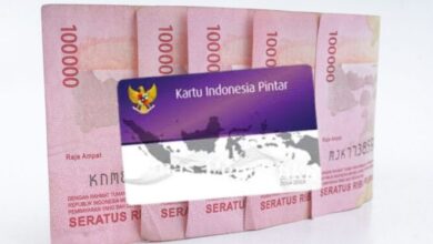 Cara Cek Status Penerima PIP Online Menggunakan NISN dan NIK dengan Mudah