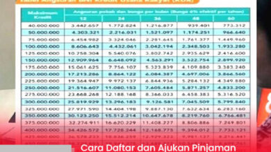 Cara Daftar dan Ajukan Pinjaman KUR BNI 2025: Panduan Lengkap Online & Offline