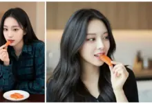 Cara Mudah Hasilkan Foto Makanan Salmon Candy Viral Pakai Gemini AI Prompt