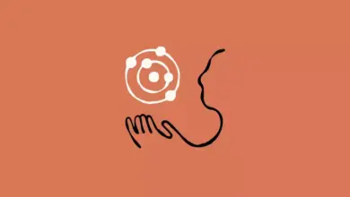 Claude Opus 4.5 Rilis: Anthropic Hadirkan Kinerja Coding Lebih Efisien dan Optimal