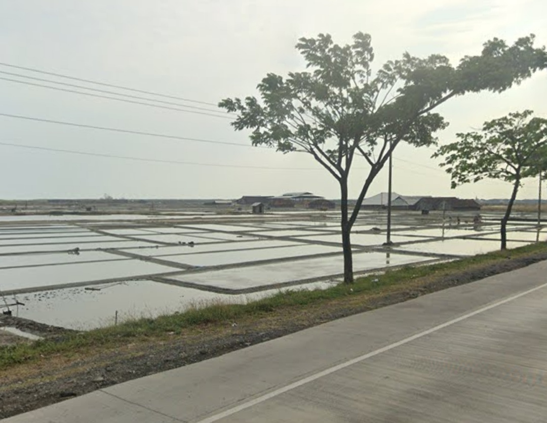 Curah Hujan Tinggi Picu Penurunan Produksi Garam di Pantura Jateng, Harga Melonjak 100%