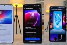 Daftar HP OPPO Dapat Update ColorOS 16: Jadwal Lengkap dan Cara Cek Terbaru 2025