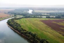 Daftar Kota Terbersih di Indonesia 2025: Fakta dan Peringkat Terbaru Berdasarkan Data Resmi