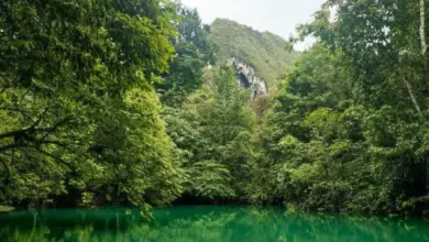Danau Nyadeng: Pesona Tersembunyi di Karst Sangkulirang yang Wajib Dikunjungi