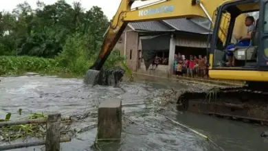 Darurat Banjir Sumatera: Pemerintah Tambah 12 Ekskavator Percepat Penanganan Lokasi