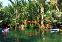 Ekowisata Silowo Tuban: Wisata Sungai Mirip Amazon di Jawa Timur yang Menawan