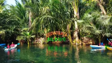 Ekowisata Silowo Tuban: Wisata Sungai Mirip Amazon di Jawa Timur yang Menawan