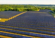 Energi Terbarukan Mulai Dikembangkan di Sektor Tambang dan Perkebunan untuk Efisiensi