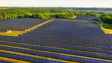 Energi Terbarukan Mulai Dikembangkan di Sektor Tambang dan Perkebunan untuk Efisiensi&nbsp;