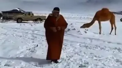 Fenomena Langka: Salju Turun di Gurun Arab Saudi Setelah 30 Tahun, Ini Faktanya