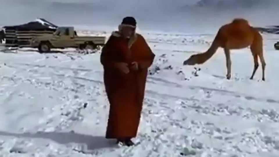 Fenomena Langka: Salju Turun di Gurun Arab Saudi Setelah 30 Tahun, Ini Faktanya