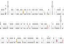 Grafik Roket Menakjubkan Ini Wajib Dilihat Para Pecinta Antariksa dan Teknologi!