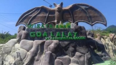 Harga Tiket Masuk Goa Lalay Bogor: Wisata Grand Canyon Baru Jawa Barat 2025