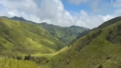 Harga Tiket Terbaru dan Panduan Lengkap Cara ke Bukit Kandang Pasuruan 2025