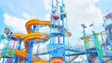 Hawai Waterpark Malang: Wahana Seru dan Harga Tiket Terbaru 2025 untuk Liburan Seru