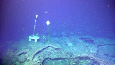 Ilmuwan Prediksi Gunung Bawah Laut Teraktif di Pasifik Meletus Tahun 2026, Waspada!