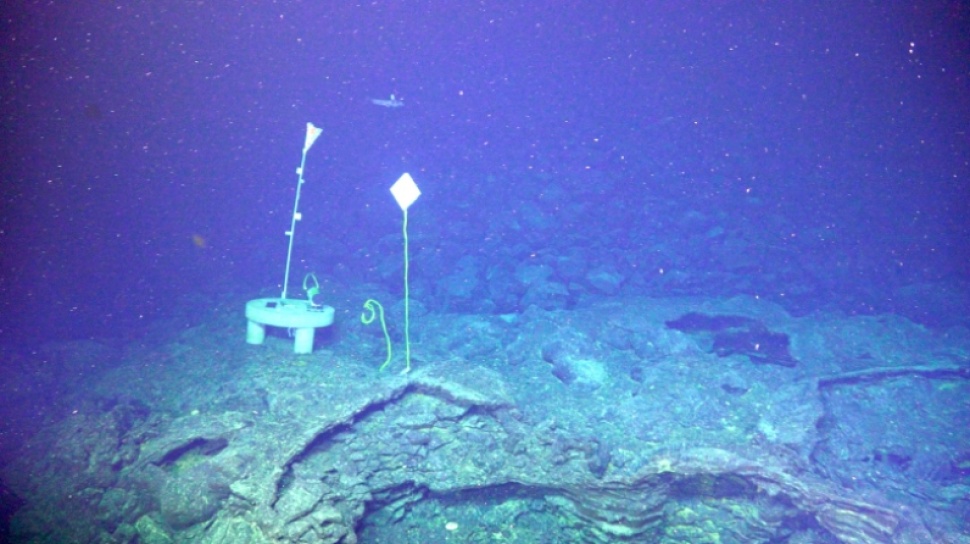 Ilmuwan Prediksi Gunung Bawah Laut Teraktif di Pasifik Meletus Tahun 2026, Waspada!