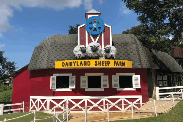 Info Harga Tiket & Lokasi Dairyland Farm Theme Park Prigen Terbaru 2025