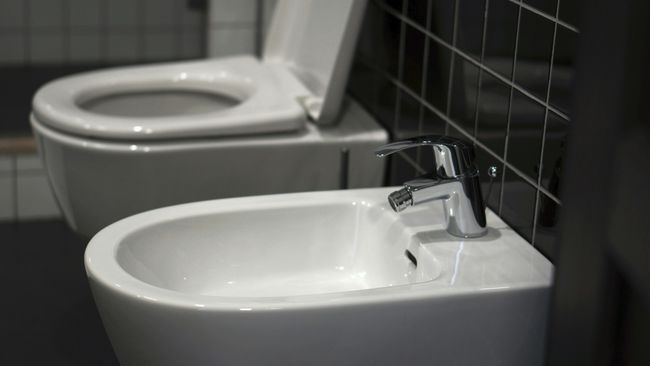 Ini Alasan Bidet Sulit Ditemukan di Luar Negeri: Faktor Budaya dan Infrastruktur Toilet