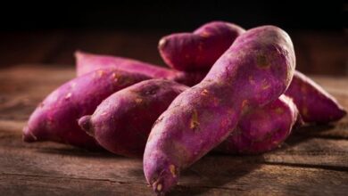 Inilah Dampak Mengejutkan di Tubuh Saat Konsumsi Ubi Setiap Hari, Wajib Tahu!