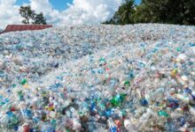 Inovasi Teknologi Terbaru Siap Ubah Dunia Digital, Para Ahli Sebut Ini Terobosan Besar