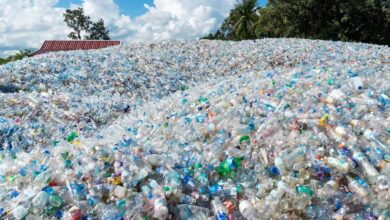 Inovasi Teknologi Terbaru Siap Ubah Dunia Digital, Para Ahli Sebut Ini Terobosan Besar