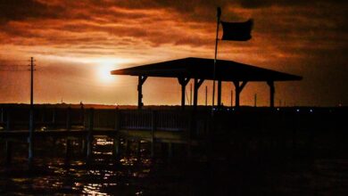 Intip Momen Peluncuran Starlink Terbaru dari SpaceX di Tengah Cuaca Ekstrem yang Menguji Keberanian!